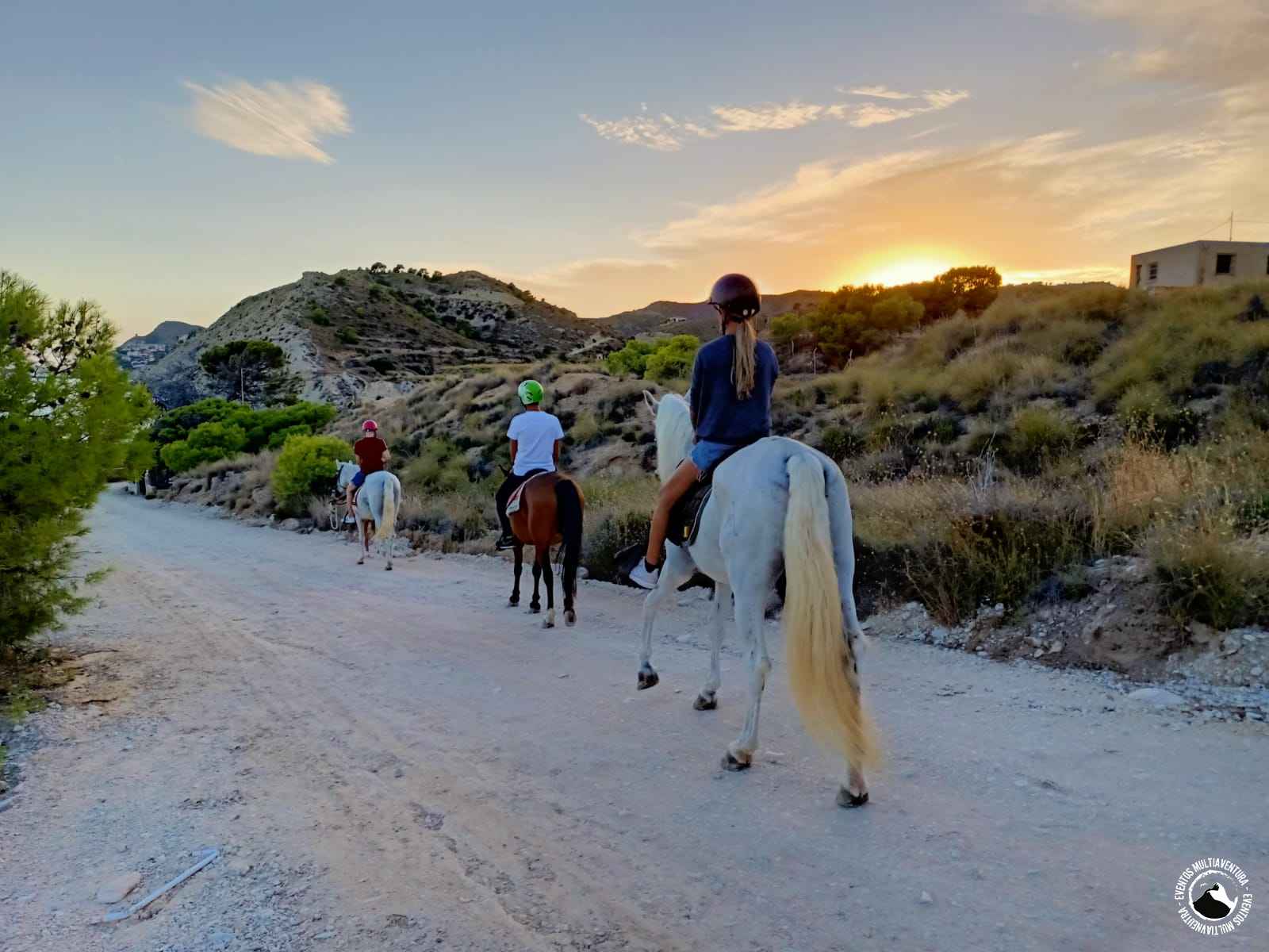 paseo caballo 5